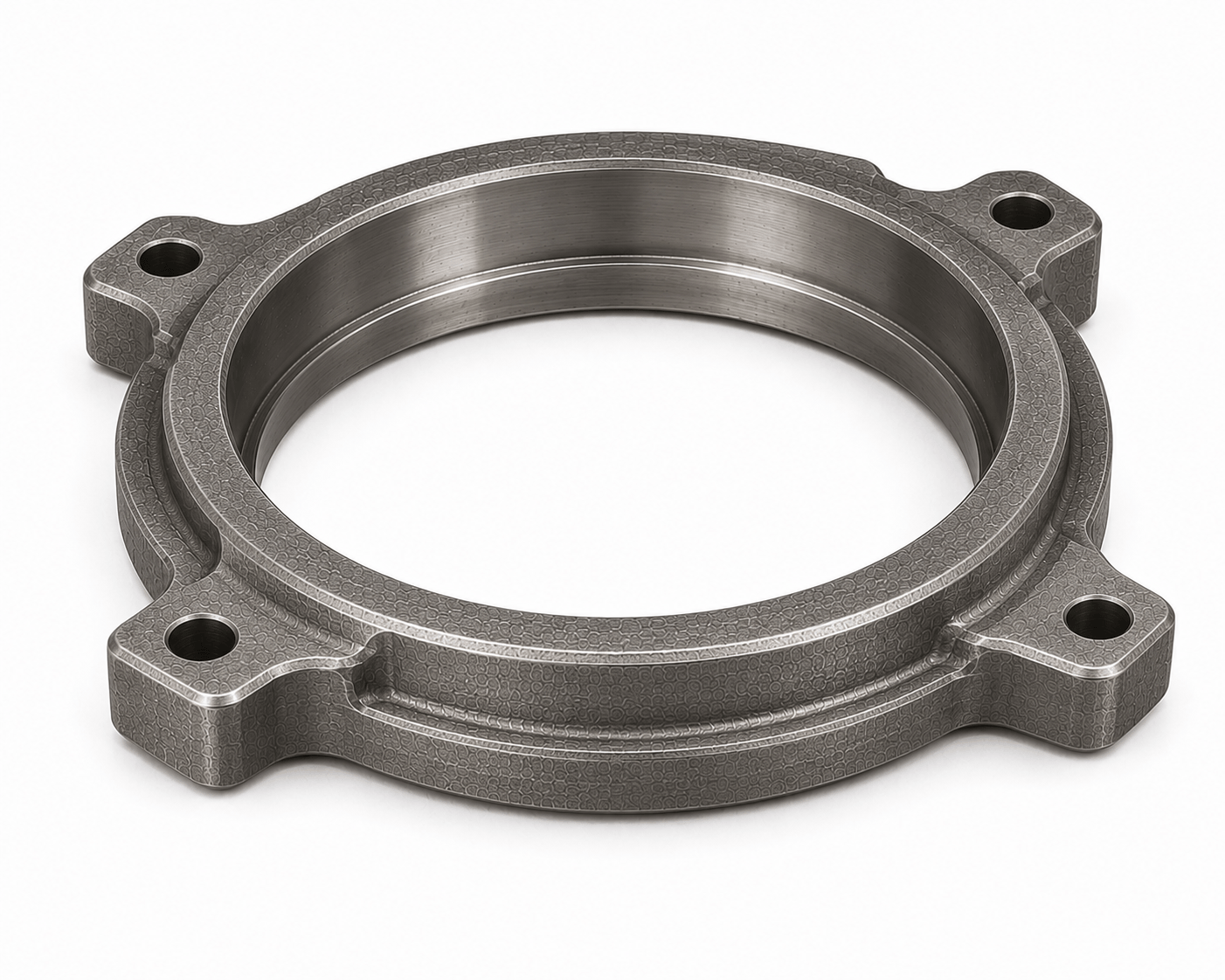 Forged Flanges View 4